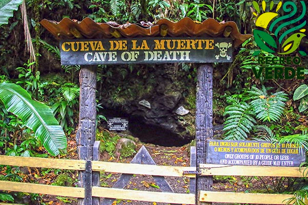 Cave of Death, Poás Volcano, Costa Rica, geological dynamics, carbon dioxide emissions