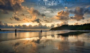 Tropical Rainforest, Rainy Season / Dry Season, Cloud Forest, Biodiversity, Pacific vs Caribbean Weather